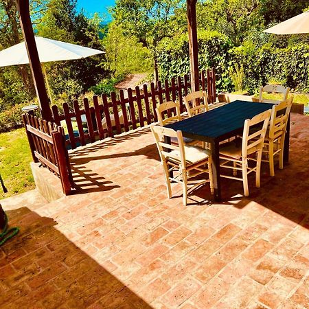 Ciliegia Di Lari - Attico Villa Exteriör bild
