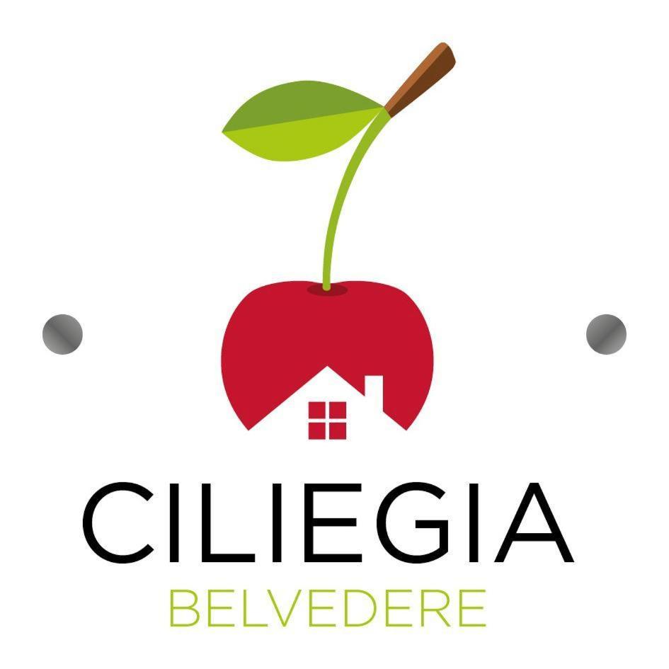 Ciliegia Di Lari - Attico Villa Exteriör bild