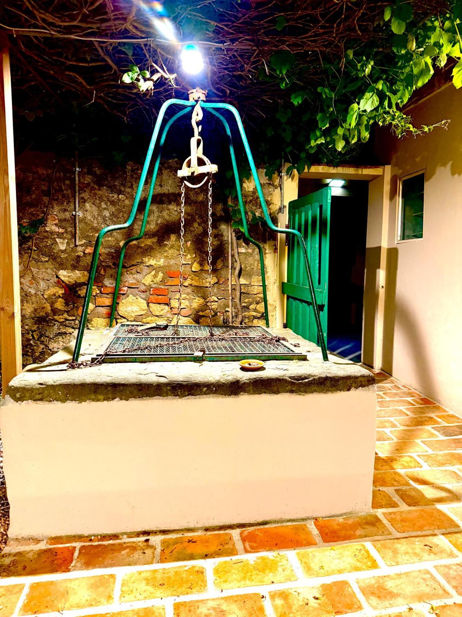 Ciliegia Di Lari - Attico Villa Exteriör bild